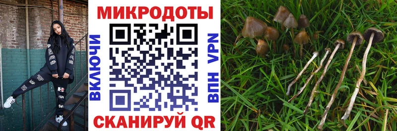 Псилоцибиновые грибы Magic Shrooms  Улан-Удэ 